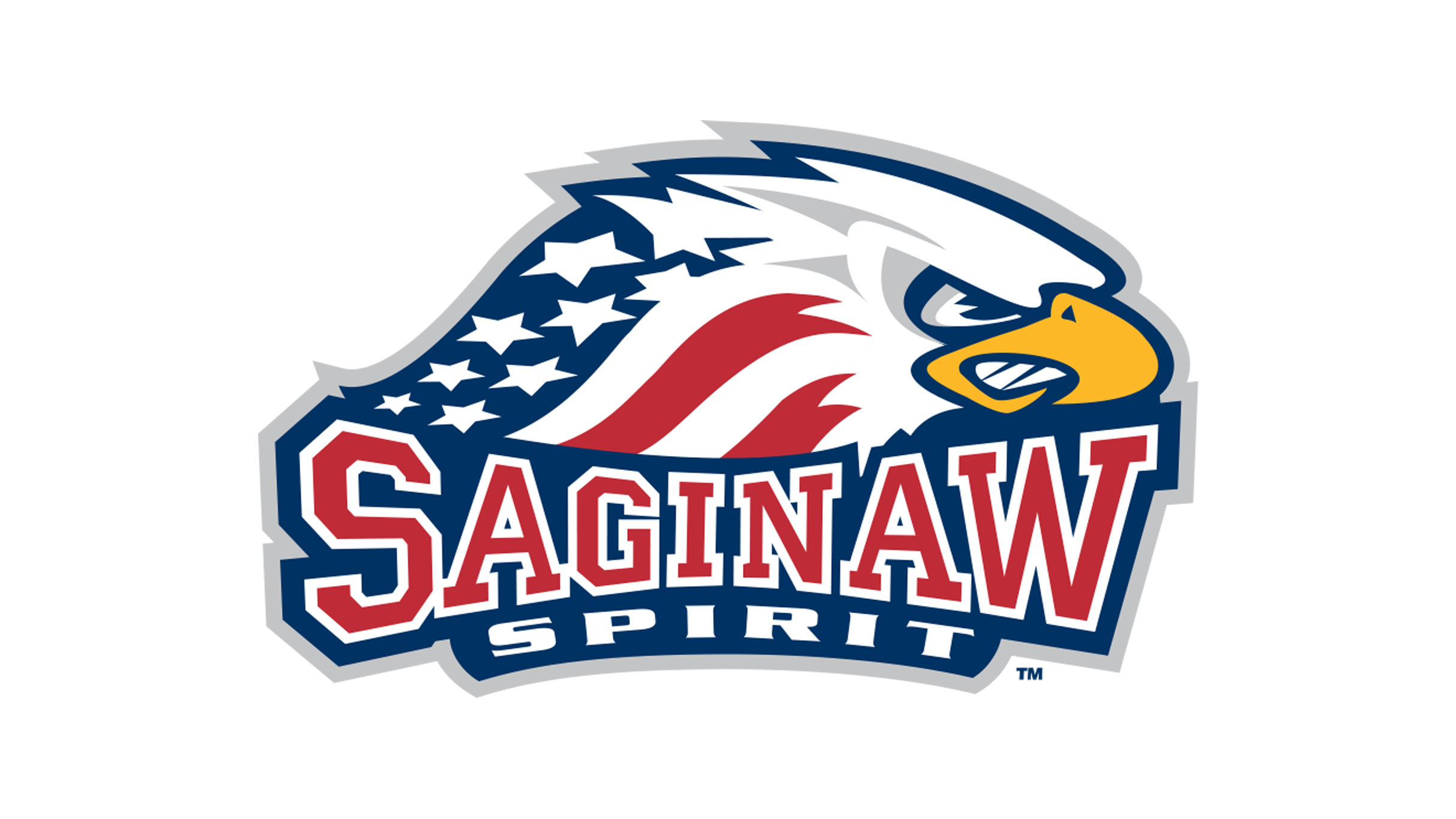 Saginaw Spirit vs. Brampton Steelheads