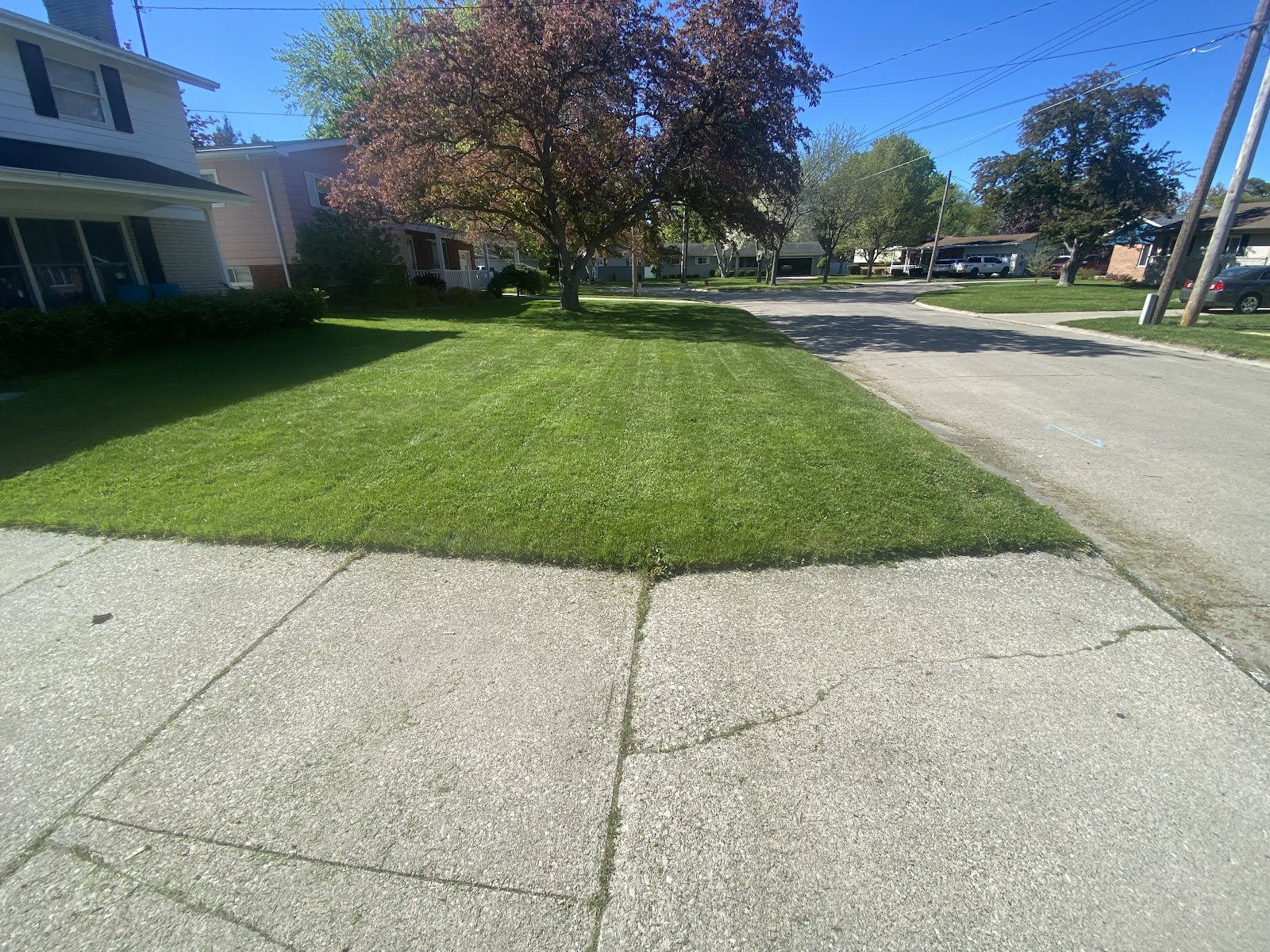 First Cut Lawn Care Service — photo