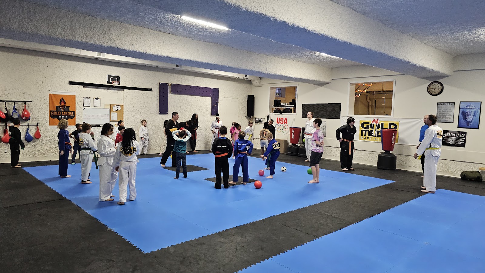 Gold Medal Martial Arts — photo