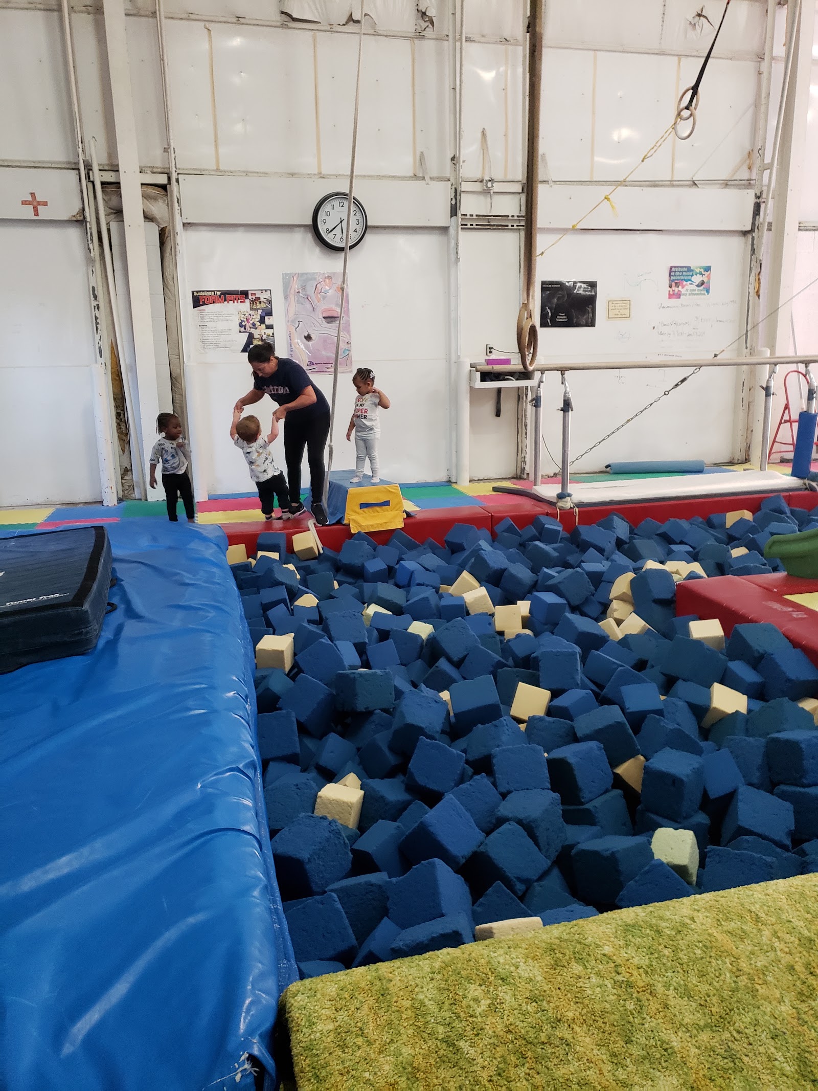 Gym-Jester Gymnastics — photo