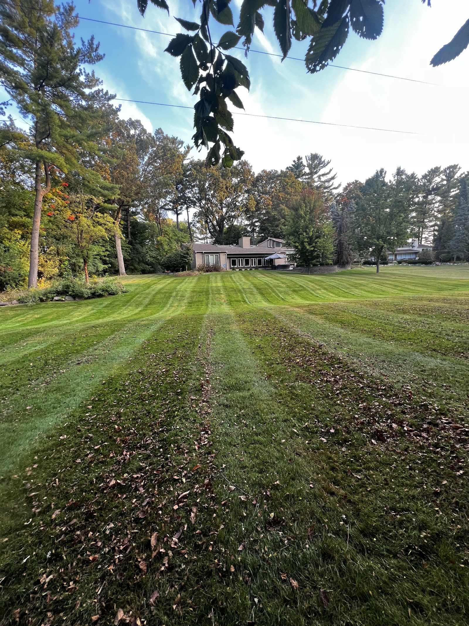 Luminary Signature Lawns in
