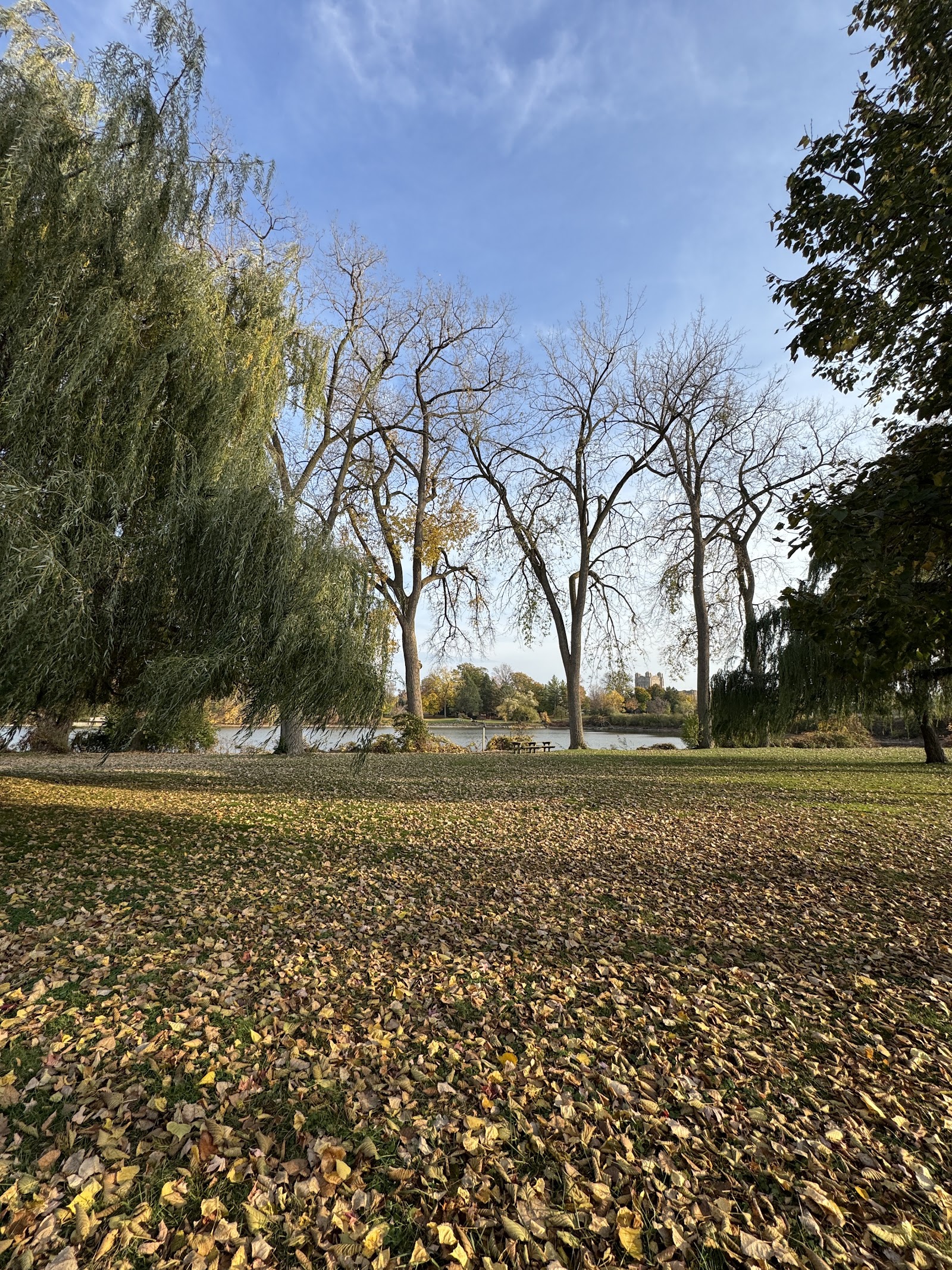 Ojibway Island — photo