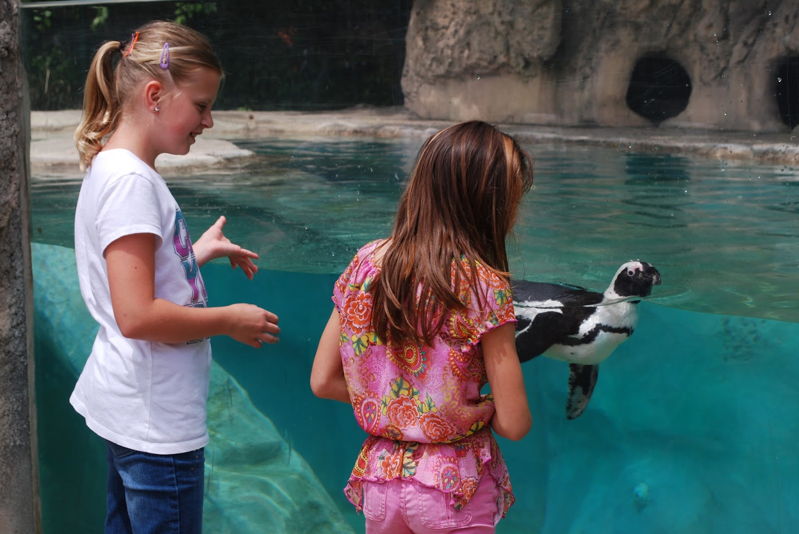 Saginaw Children's Zoo — photo