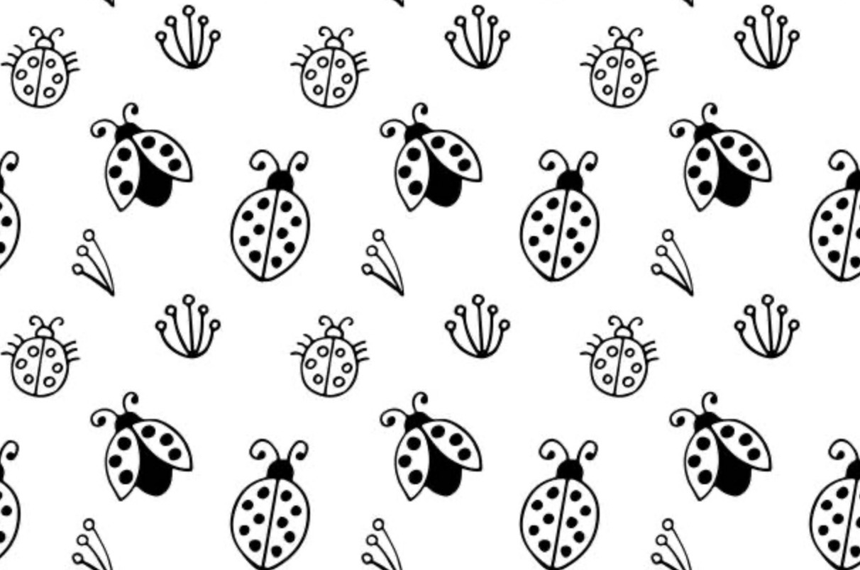 The Baking Ladybug — photo